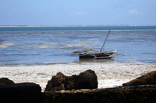 Kenia (595)